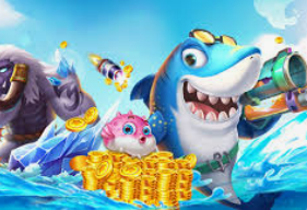 kia云登录入口手机2024最新版